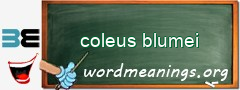 WordMeaning blackboard for coleus blumei
